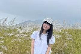 Đà Nẵng mùa cỏ lau trắng tinh khôi, du khách nô nức check-in