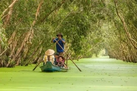 Mùa nước nổi miền Tây có gì đặc biệt mà hút đông khách?