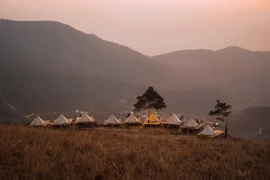 Cắm trại trên đỉnh Phượng Hoàng, ngắm mùa cỏ cháy rực rỡ ở Quảng Ninh