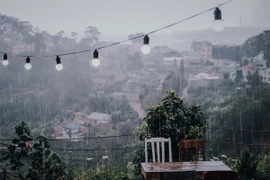 Bí quyết du lịch Đà Lạt mùa mưa an toàn và tận hưởng trọn vẹn cảnh đẹp