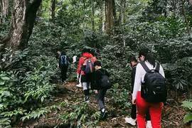 Bí kíp khám phá Vườn Quốc gia Cúc Phương tránh rủi ro cho du khách