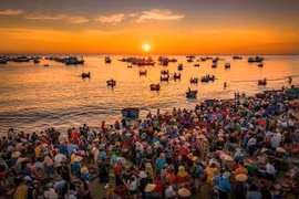 Bình minh nhộn nhịp ở chợ cá ven biển Tam Tiến, Quảng Nam