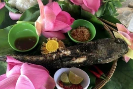 Thơm lừng cá lóc nướng trui cuốn lá sen non Đồng Tháp