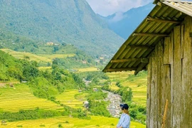 Sa Pa mùa lúa chín những góc sống ảo “chất lừ” cho tín đồ mê ảnh