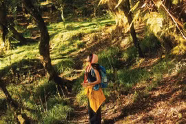 Ngỡ ngàng trước vẻ đẹp cổ tích của rừng Sa Mu trên đỉnh Tà Xùa