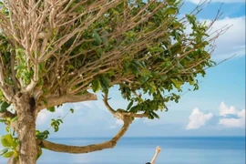 Hè này khám phá Bích Đầm, nên đi tour hay tự túc?