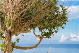 Hè này khám phá Bích Đầm, nên đi tour hay tự túc?