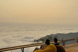 Top địa điểm săn mây siêu đẹp cho team "sống ảo" ở Tam Đảo