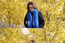 Hàng cây ngân hạnh vàng rực 'ngỡ như Hàn Quốc' giữa lòng Sa Pa