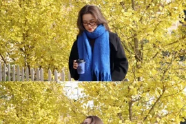 Hàng cây ngân hạnh vàng rực 'ngỡ như Hàn Quốc' giữa lòng Sa Pa