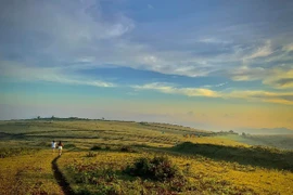 Thảo nguyên Bùi Hui vào mùa đẹp nhất, dân mê xê dịch đổ về