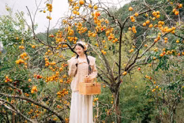 Đà Lạt mùa hồng rực rỡ, du khách hóa cô thôn nữ giữa phố núi mộng mơ