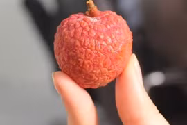 Mẹo chọn vải thiều tươi, ngọt lịm, ăn một lần là mê