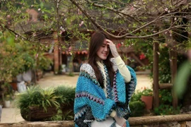 Lô Lô Chải đón mùa hoa đào nở sớm bất ngờ