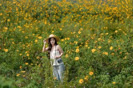 Sân bay cũ Cam Ly điểm đến tuyệt vời ngắm mùa dã quỳ Đà Lạt