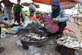 Món cá trích nướng hút khách nườm nượp, dân làng chài thu tiền triệu mỗi ngày