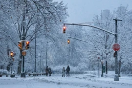 Săn tuyết ở New York vì thế không chỉ là trải nghiệm thời tiết, mà còn là hành trình hòa mình vào cuộc sống đô thị đặc trưng bậc nhất thế giới. Du khách sẽ được ngắm những con đường trắng muốt, cảm nhận hơi lạnh trong trẻo, thưởng thức những món ăn ấm nóng, gặp gỡ người dân địa phương thân thiện và khám phá một New York rất khác – thơ mộng, trầm lắng và sâu sắc hơn ngày thường. Ảnh Gary Hershorn