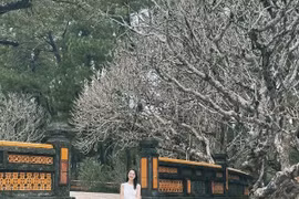 Làm sao để du lịch Huế tiết kiệm mà vẫn trọn vẹn trải nghiệm?