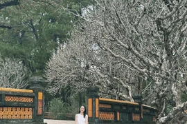 Làm sao để du lịch Huế tiết kiệm mà vẫn trọn vẹn trải nghiệm?