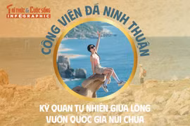 Công viên đá Ninh Thuận kỳ quan tự nhiên giữa lòng vườn quốc gia núi chúa