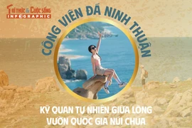 Công viên đá Ninh Thuận kỳ quan tự nhiên giữa lòng vườn quốc gia núi chúa