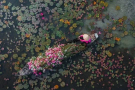 Check-in Tây Ninh mùa hoa súng nở, trải nghiệm miền sông nước đẹp như tranh