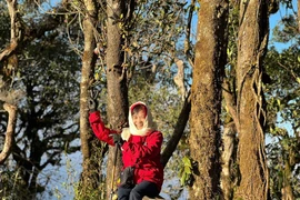 U70 chinh phục liên tiếp hai đỉnh núi trong hai tháng khiến người trẻ nể phục