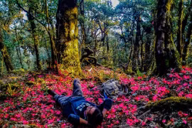 5 cung trekking mùa xuân miền Bắc khiến dân mê xê dịch 'đứng ngồi không yên'