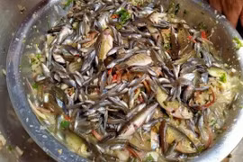 Gỏi cá nhảy Sơn La đặc sản “thót tim” khiến du khách vừa sợ vừa mê