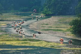 Gợi ý lịch trình khám phá Tam Cốc mùa hoa súng hồng rực