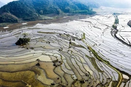 Pù Luông mùa đổ ải, chốn bình yên giữa núi rừng xứ Thanh