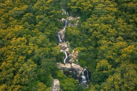 Một ngày trekking thác 5 tầng Núi Chúa chạm vào vẻ đẹp nguyên sơ của đại ngàn