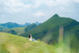 Đồi cỏ Vinh Quý đẹp như tranh, hút khách cắm trại săn mây 