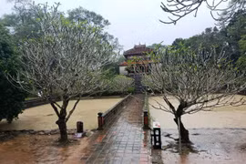 Huế tiếp tục tạm ngừng đón khách tại các điểm di tích do mưa lũ trở lại