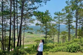 Hè 2025, Gen Z chuộng tour "ẩn cư, sống chậm" vắng người
