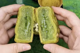 Loại nhân bánh Trung thu 'làm mưa làm gió' mùa trăng 2025