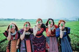 Trốn nóng lên Mộc Châu, nên đi tự túc hay theo tour?