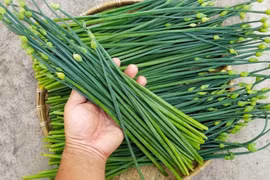 Loại rau dân dã mùa thu giúp thải độc gan, tăng sức đề kháng, dưỡng nhan