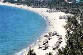 Gợi ý lịch trình vi vu Dốc Lết 2 ngày 1 đêm cho người bận rộn