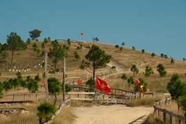 Đỉnh Phượng Hoàng đang 'cháy' sắc vàng mùa cỏ đẹp nhất năm