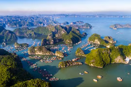 Đảo Cát Ba có gì hấp dẫn khiến du khách quốc tế say lòng?