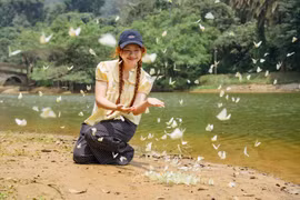 Rừng Cúc Phương 'gây sốt' mùa bướm, trải nghiệm chỉ từ 100.000 đồng