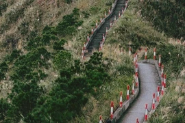 Chinh phục 'sống lưng khủng long' Bình Liêu săn cỏ lau trắng giữa núi rừng