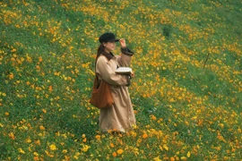 Tà Xùa hút du khách với khung cảnh hoàng hôn giữa đồi cỏ hoa