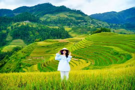 24 giờ ở Mù Cang Chải, chọn điểm nào để ngắm trọn mùa vàng?