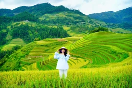 24 giờ ở Mù Cang Chải, chọn điểm nào để ngắm trọn mùa vàng?