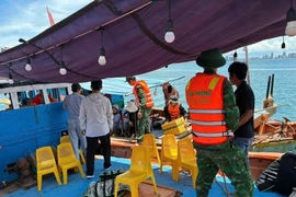 Cẩn trọng với tour câu mực đêm tự phát ở Đà Nẵng