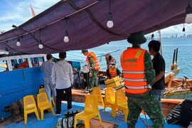 Cẩn trọng với tour câu mực đêm tự phát ở Đà Nẵng