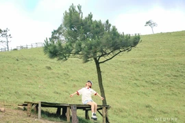 Du lịch Quảng Ninh mùa thu có gì hấp dẫn khiến du khách mê mẩn?