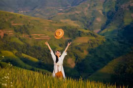 Tháng 9 lên Tà Xùa, chọn tour nào săn mây, ngắm lúa chín?